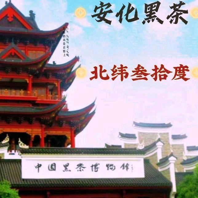 叁拾度茶叶企业店