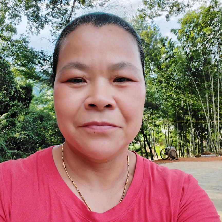 淑云姐：停播学习