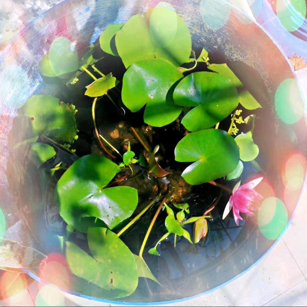 随意啦