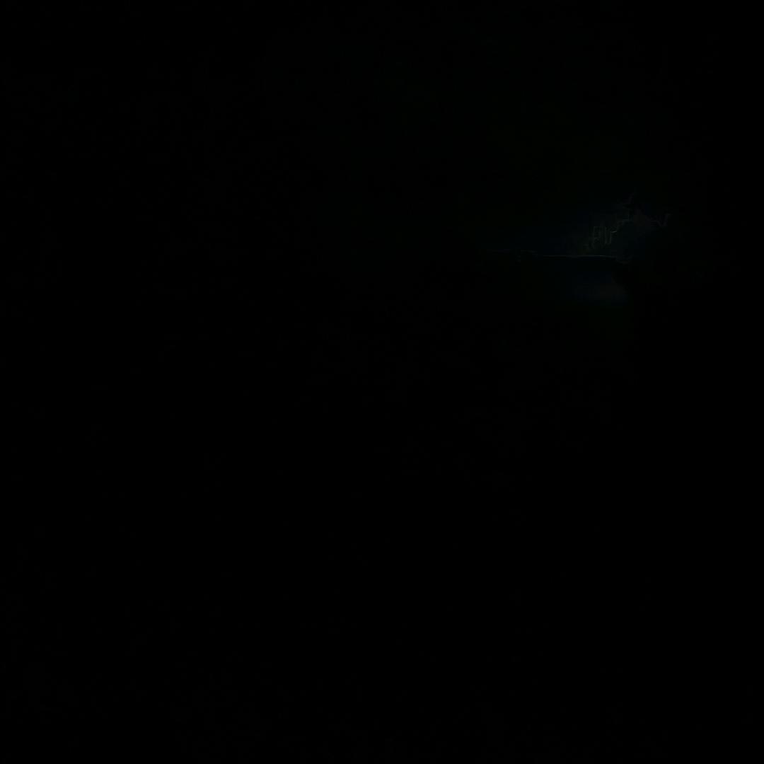 洋”