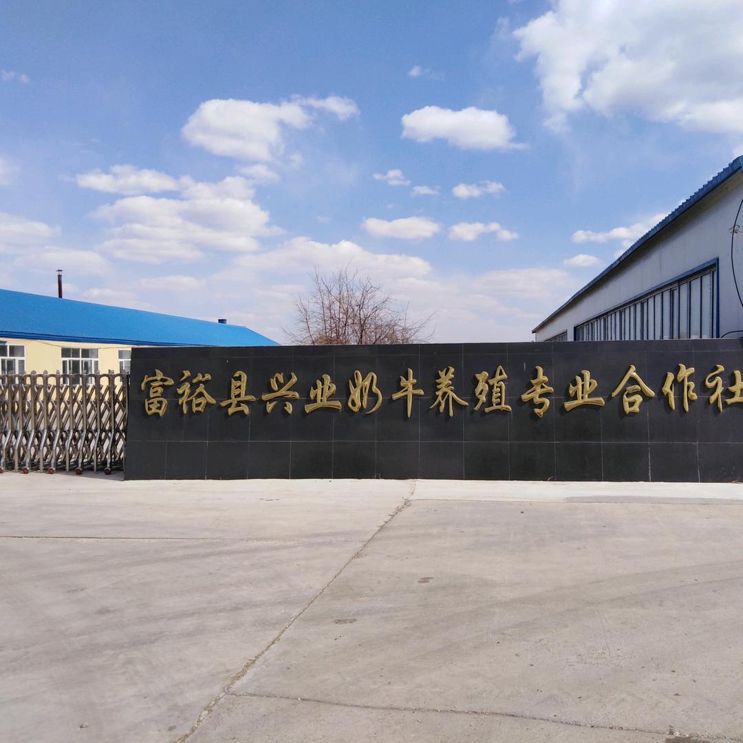 情意无价（求关注）