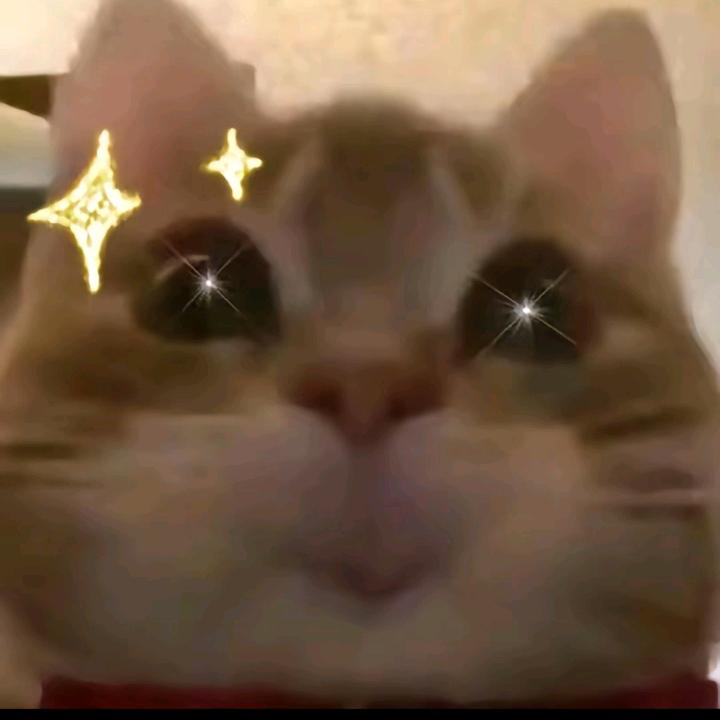 小小的老子
