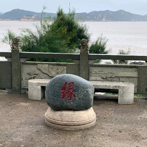 金立昂微