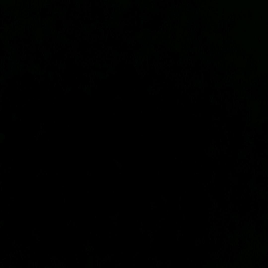 嘿嘿