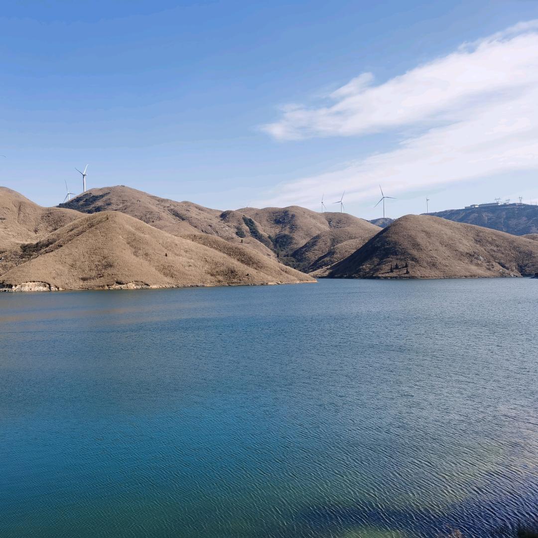 格叽格叽皮卡丘