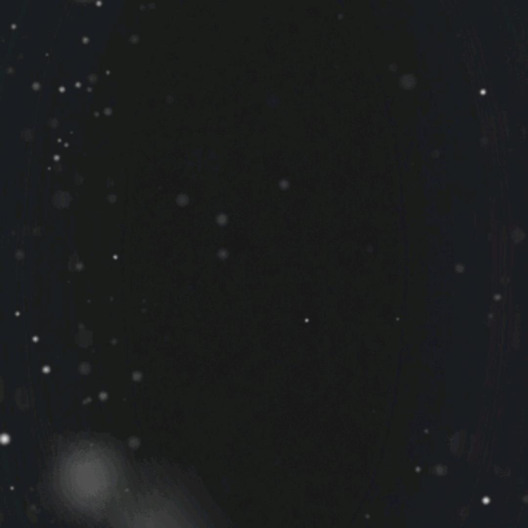 林秀丽