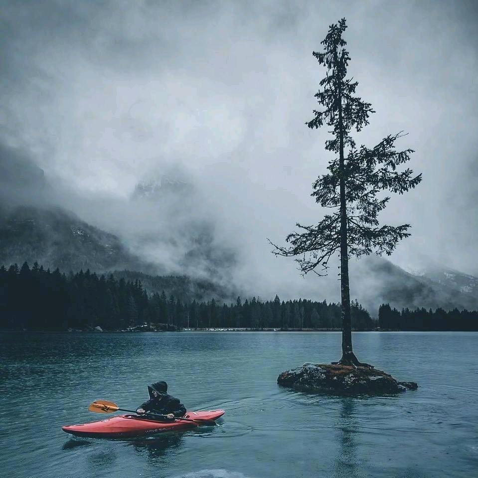 豫吉食品机械～烘焙粮设备~尚谦