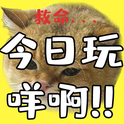 今日玩咩啊
