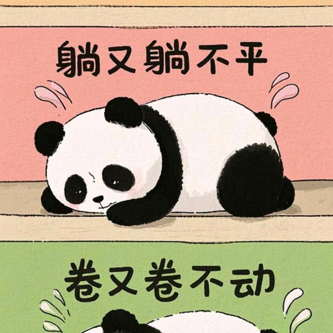 打包侠-套小稳