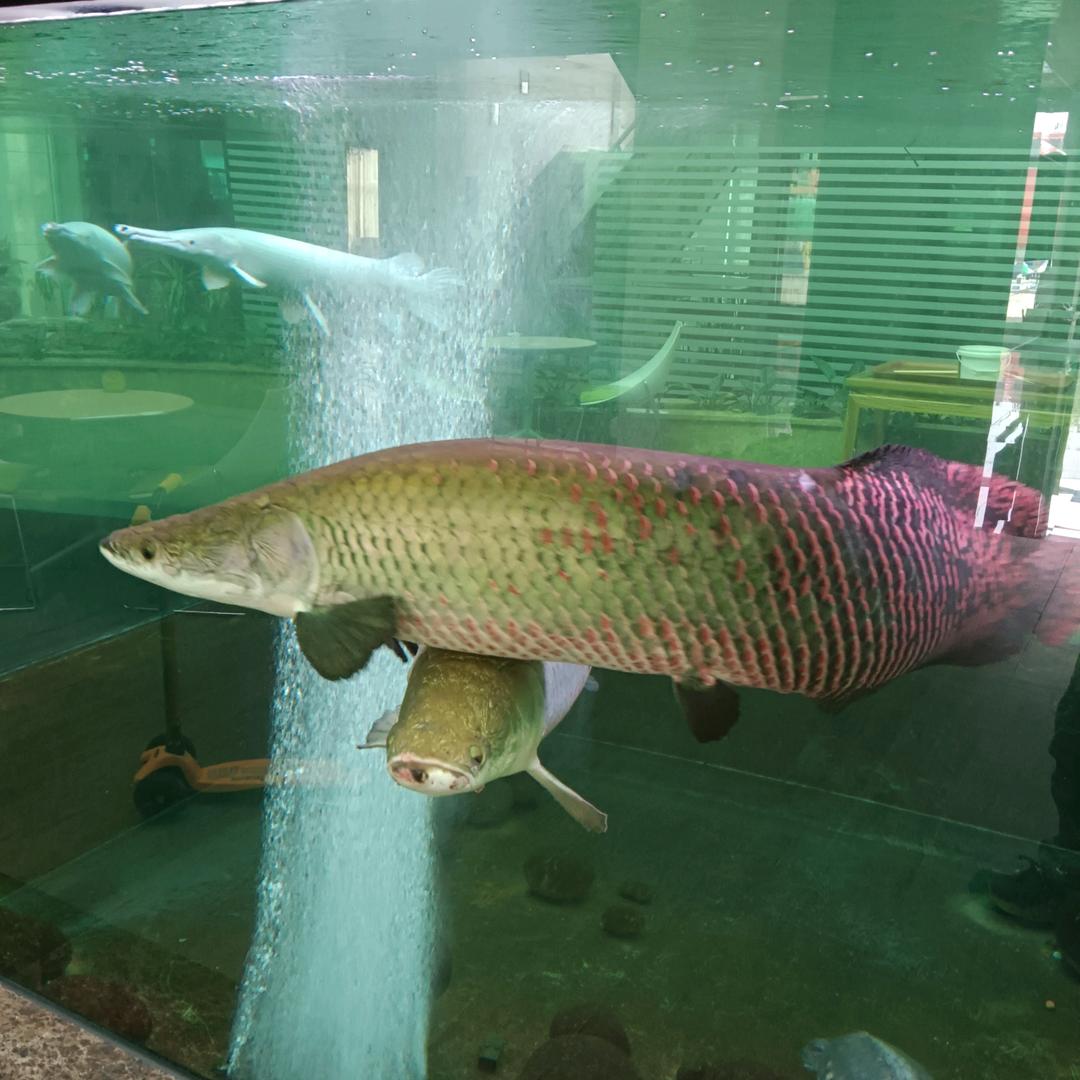 随遇而安123