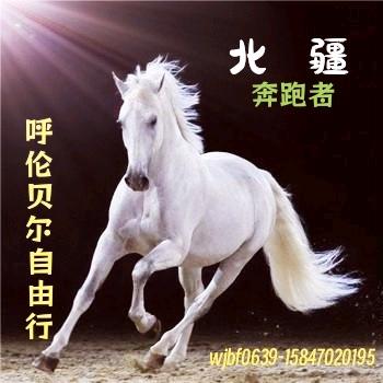 若有战召必回呼伦贝尔旅游司导兼包车服务