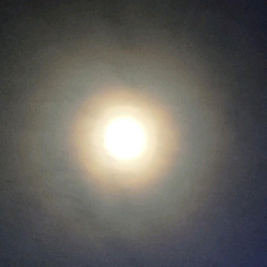 💖💦①᭄缕青烟🌿🐬