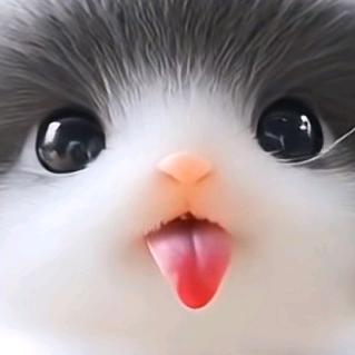 ⭐沉寂的大男孩⭐