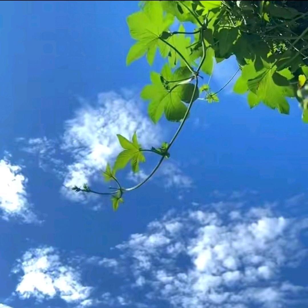 舒克❤️