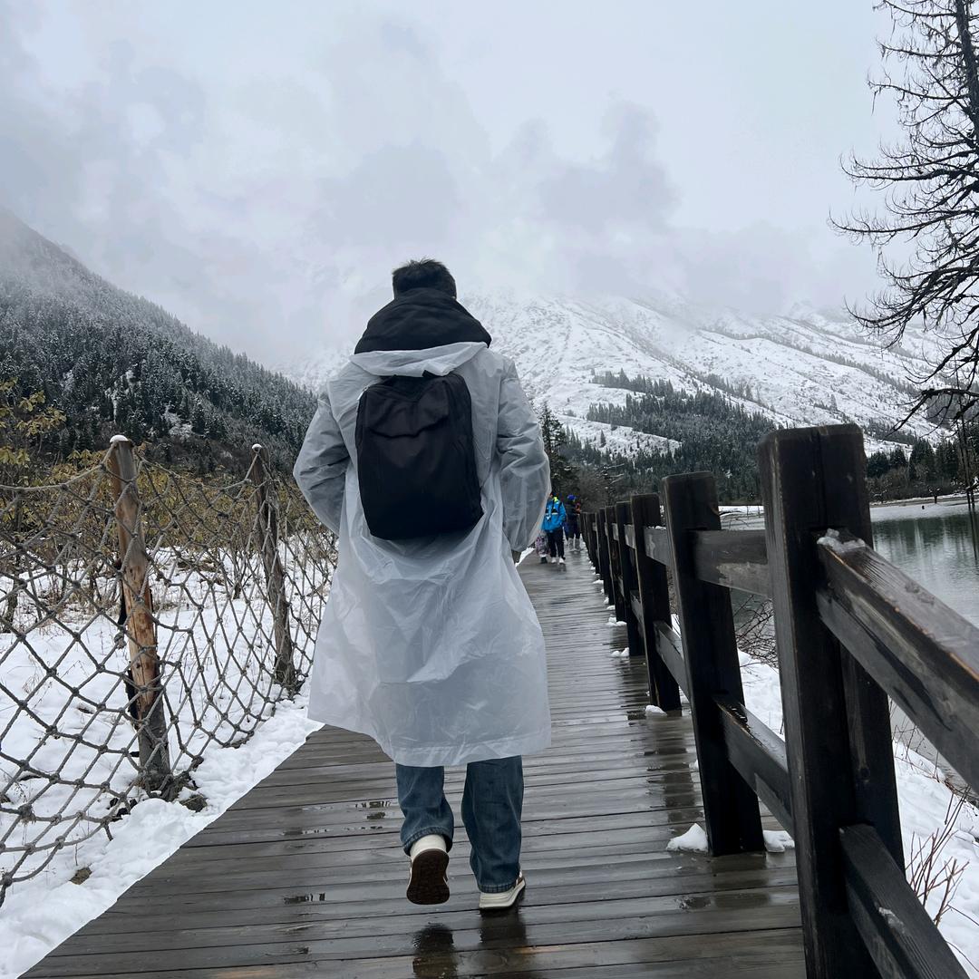 z遇事不慌张先生