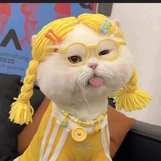 紫葡萄娟儿