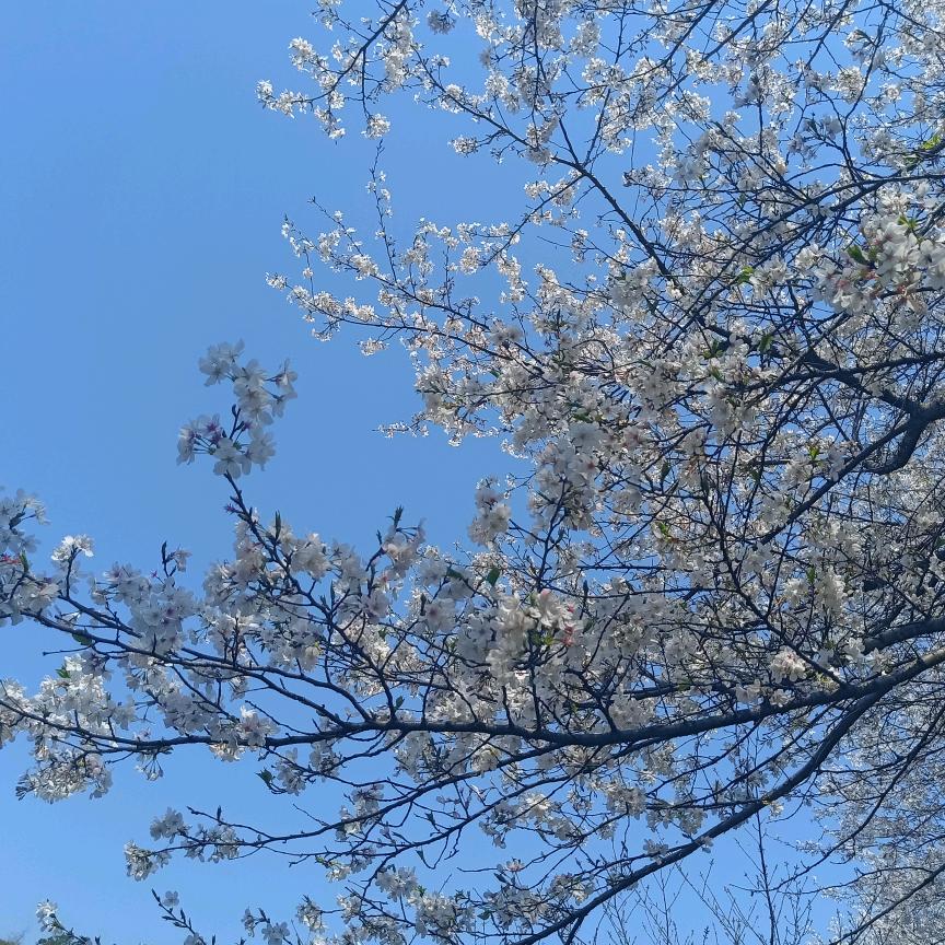 隅光微暖