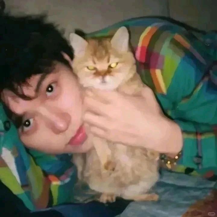 请别偷走我的夏天