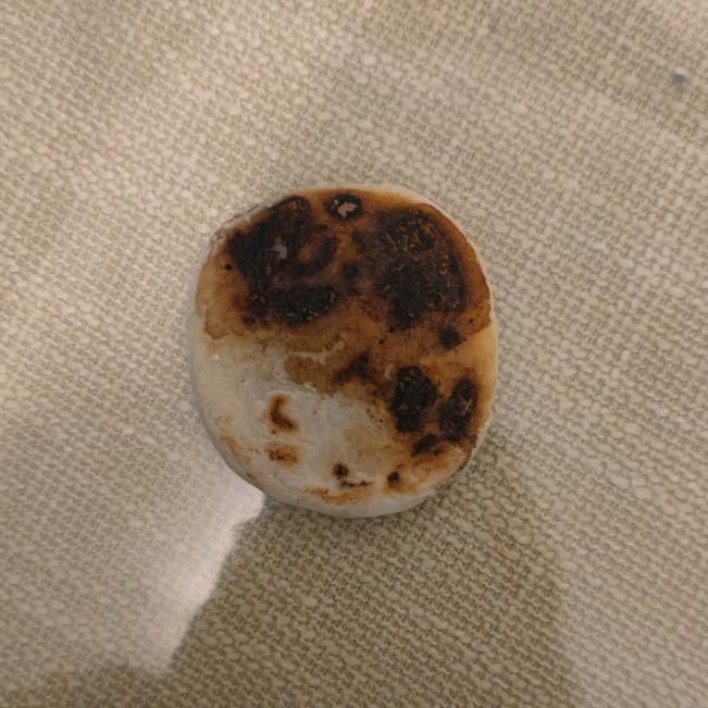 可怜的烧饼