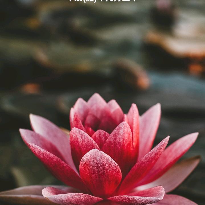 民权