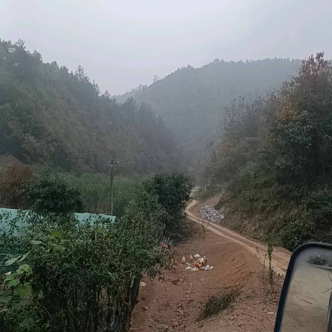 @和你一起看日落