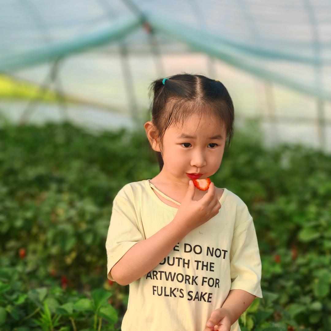 🇨🇳随遇而安