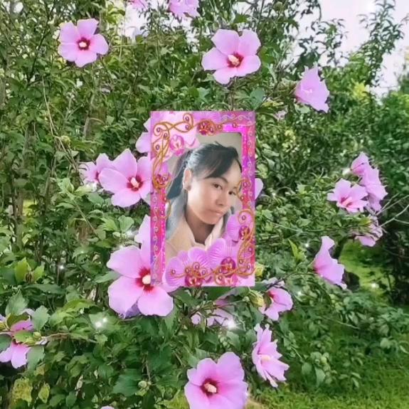 余生，安好