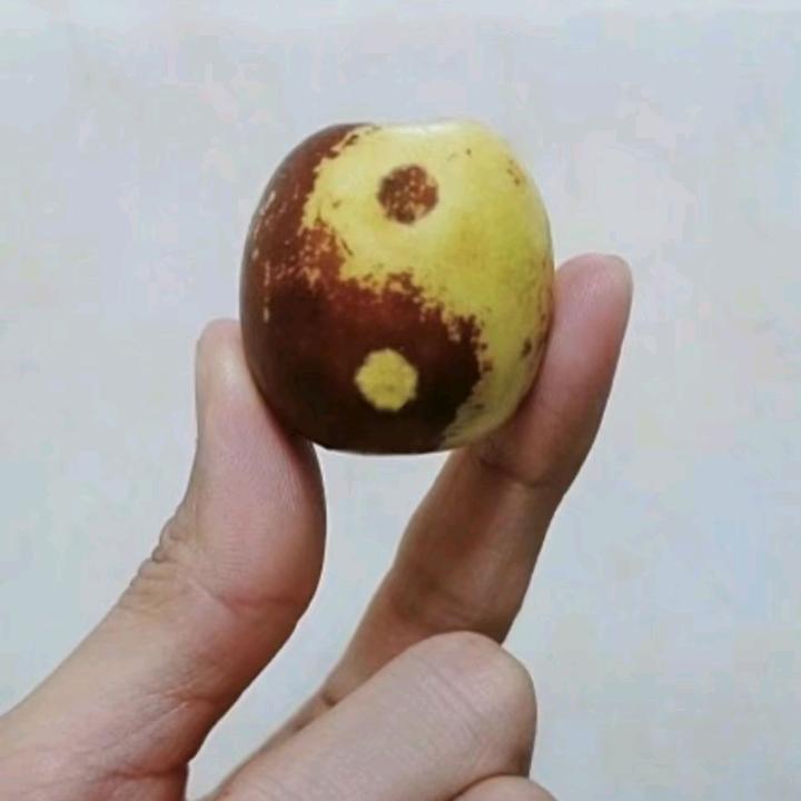 ¹²⁰³半撤半悟伴红尘¹²⁰³