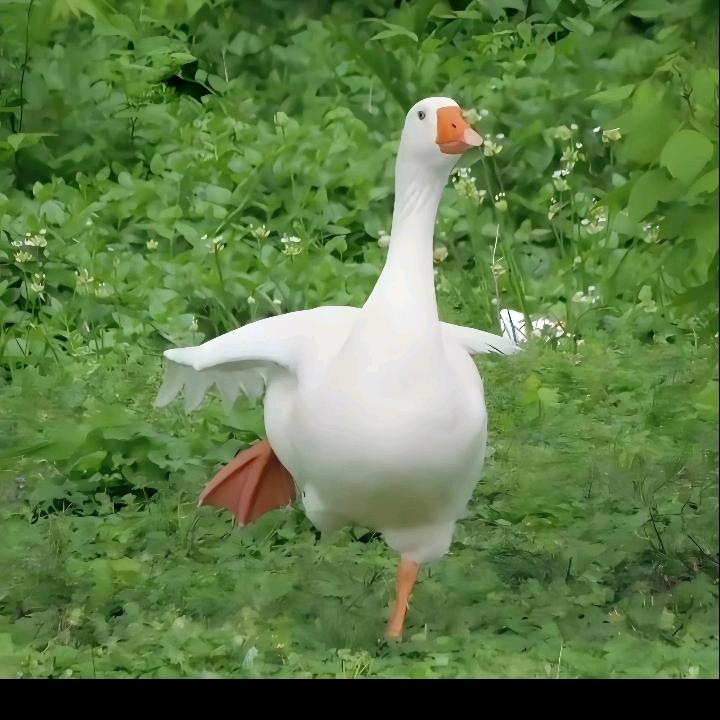 热播电影推荐