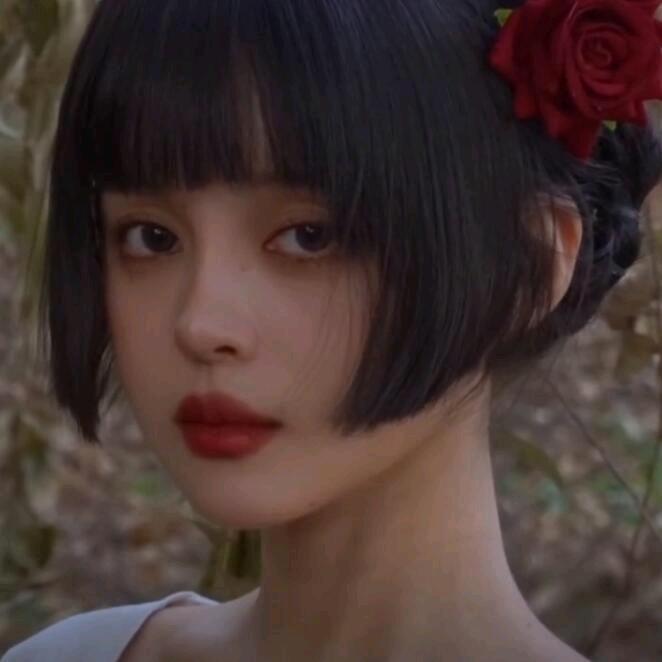 落庭苔