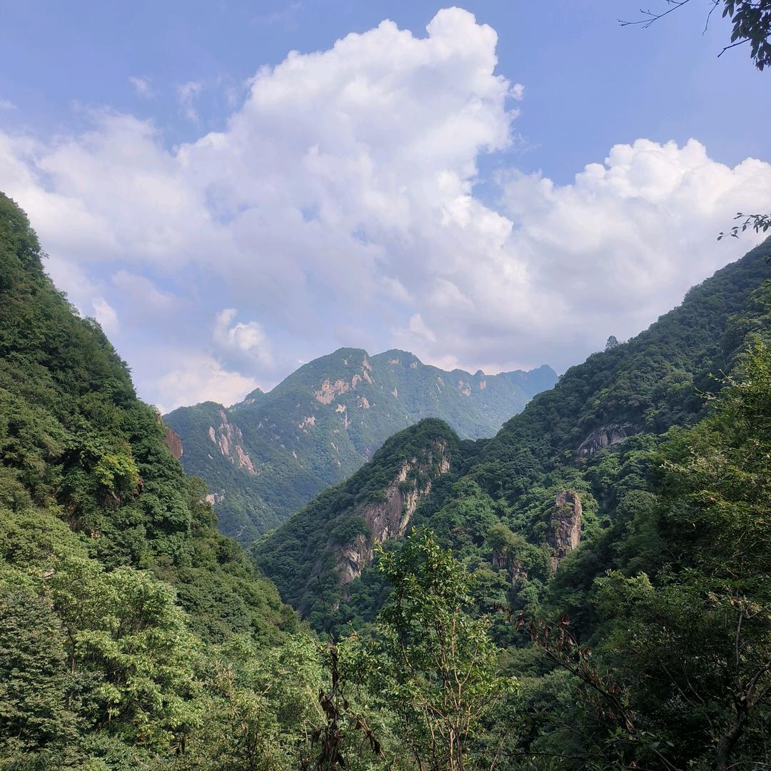 宋老师讲养生