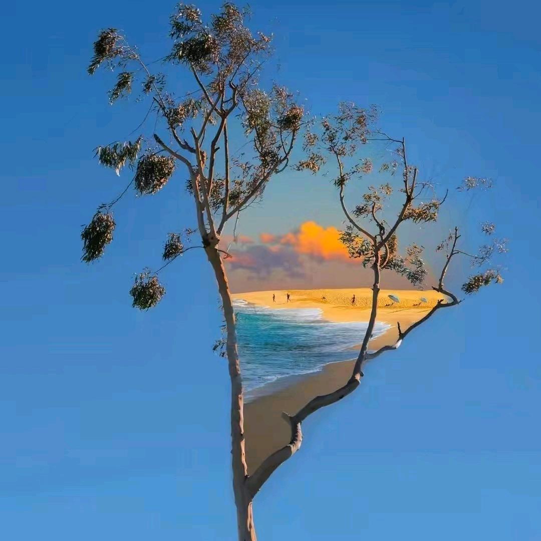 漠然浅笑