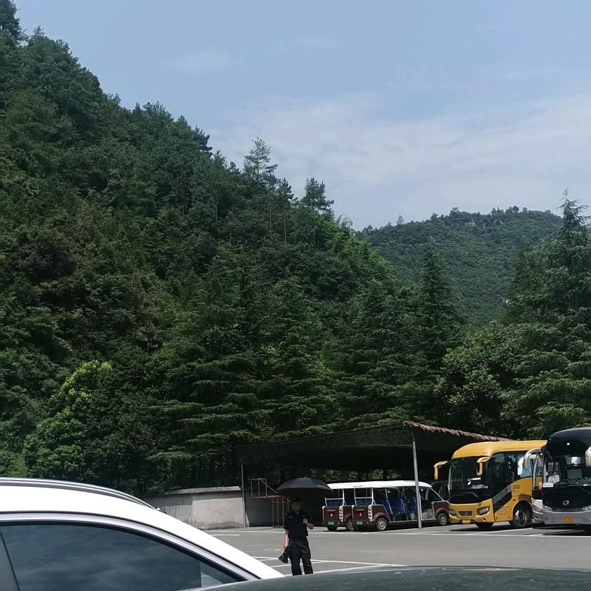 哥