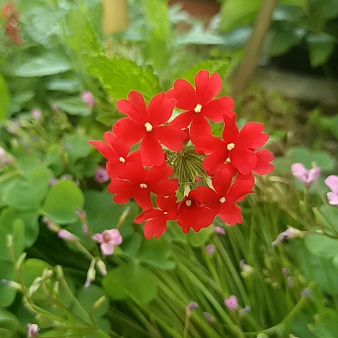 天天平安快乐