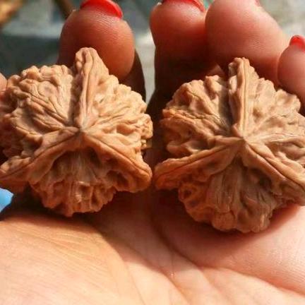 天津河北区如意工艺品店每晚8点开播