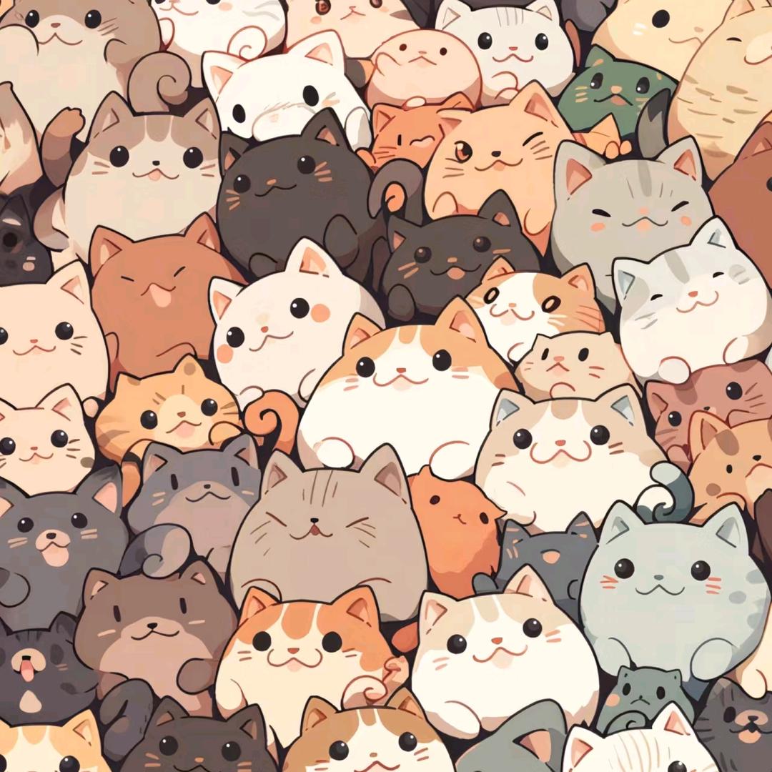 秦淮区猫盒电玩游艺店（个体工商户）