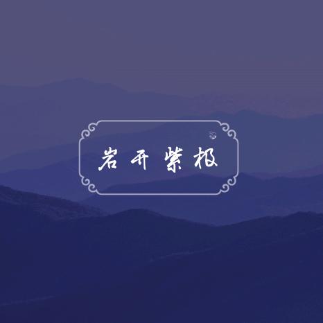 茶农生产厂家直销（岩开紫极）