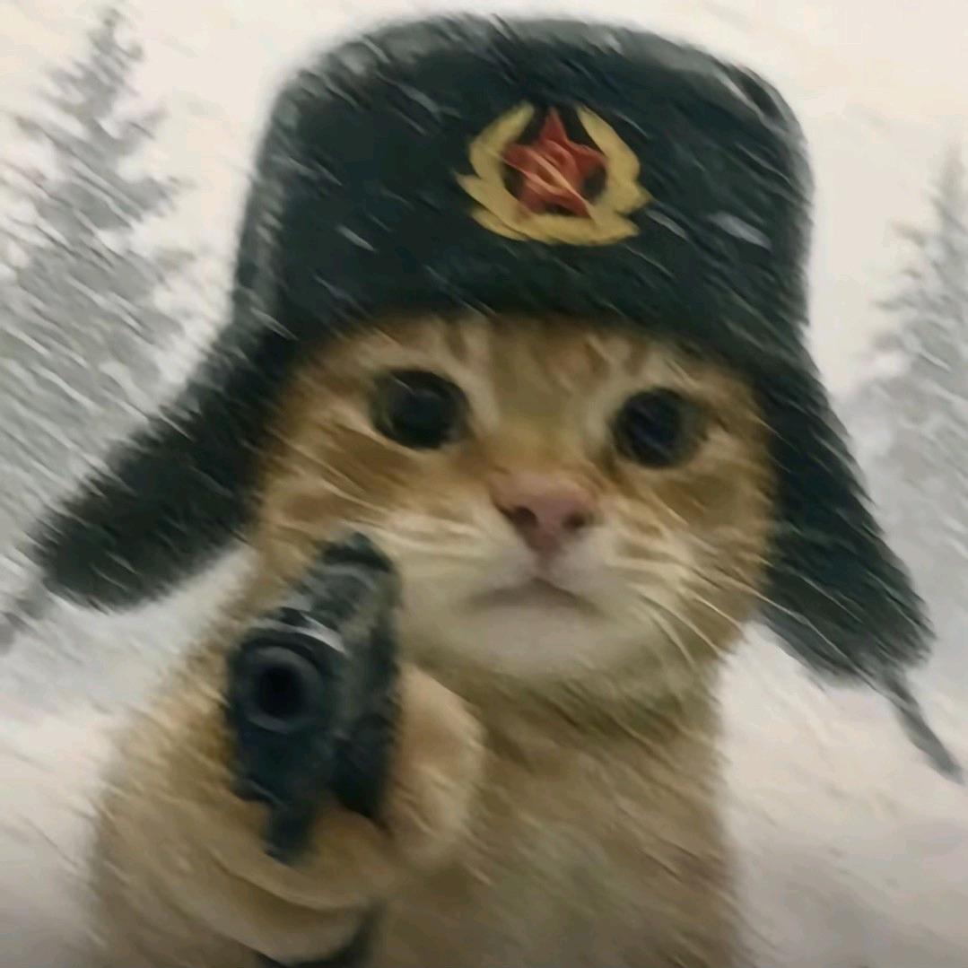 锤子