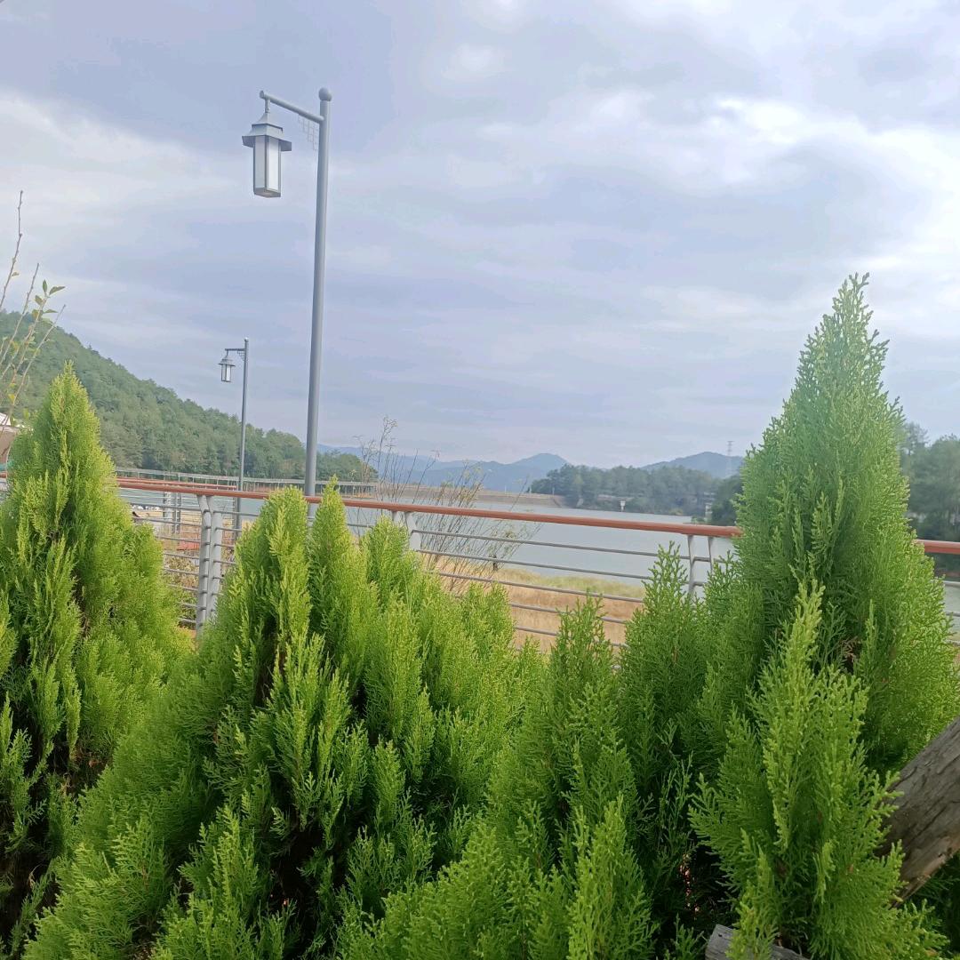 ❤️ Hello，曾曾✩°̥࿐