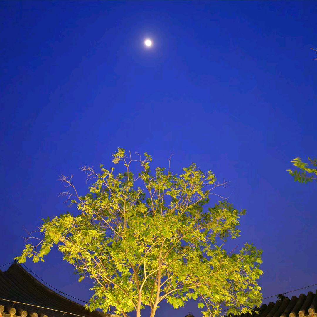 叁叁音乐(经典情感音乐)