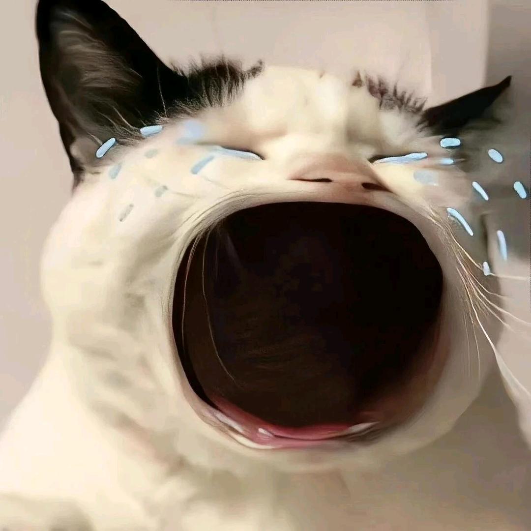 ！！！