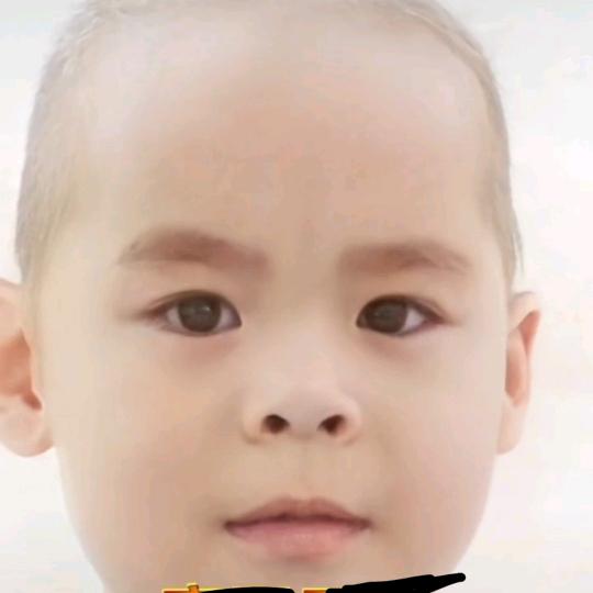 真心
