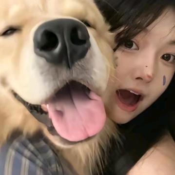 烦死了😀