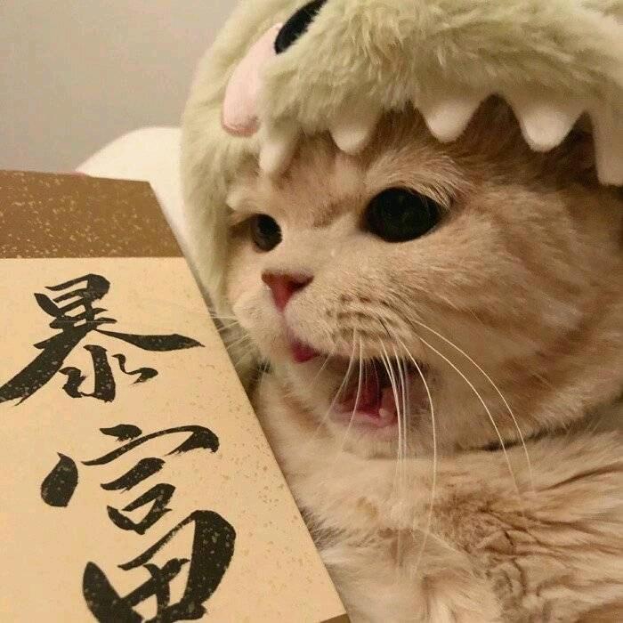 老许