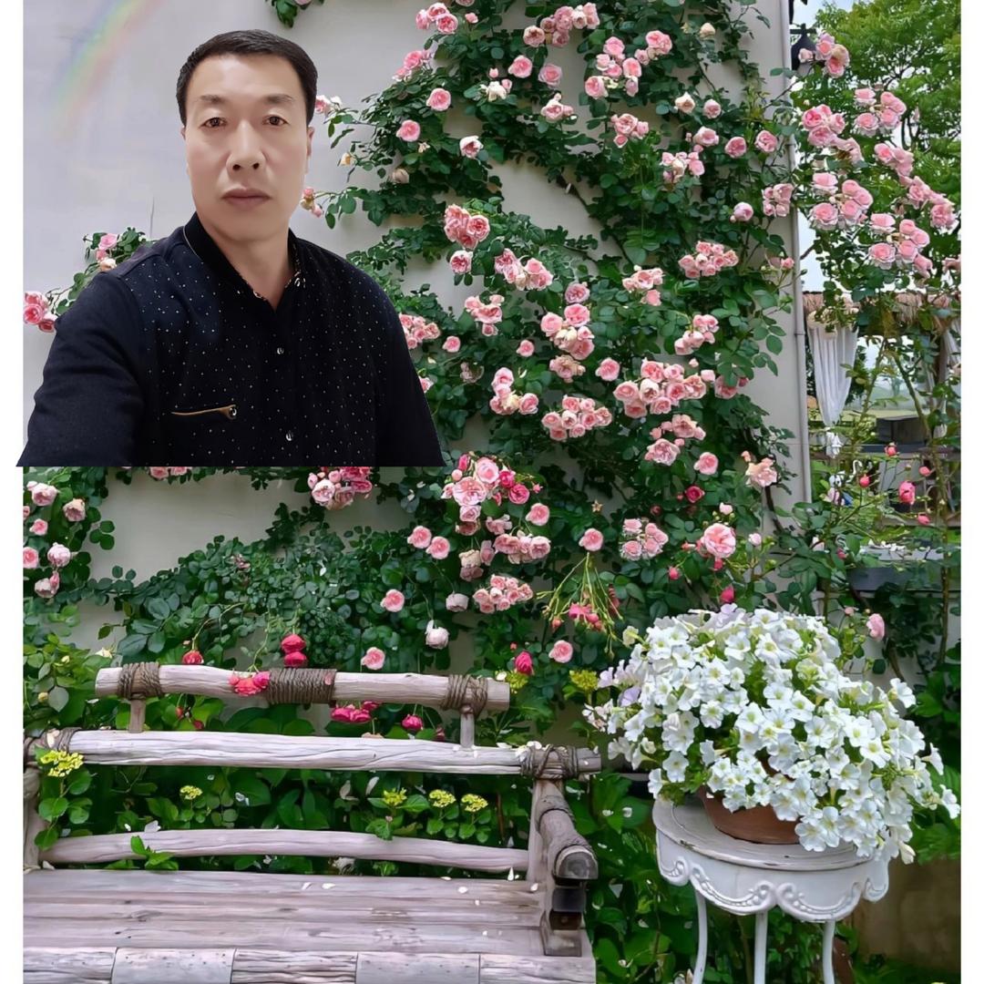心闲长寿
