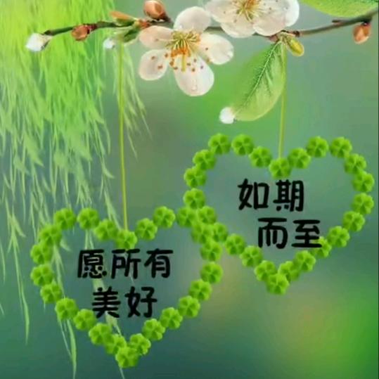 往事不回头²⁵⁷