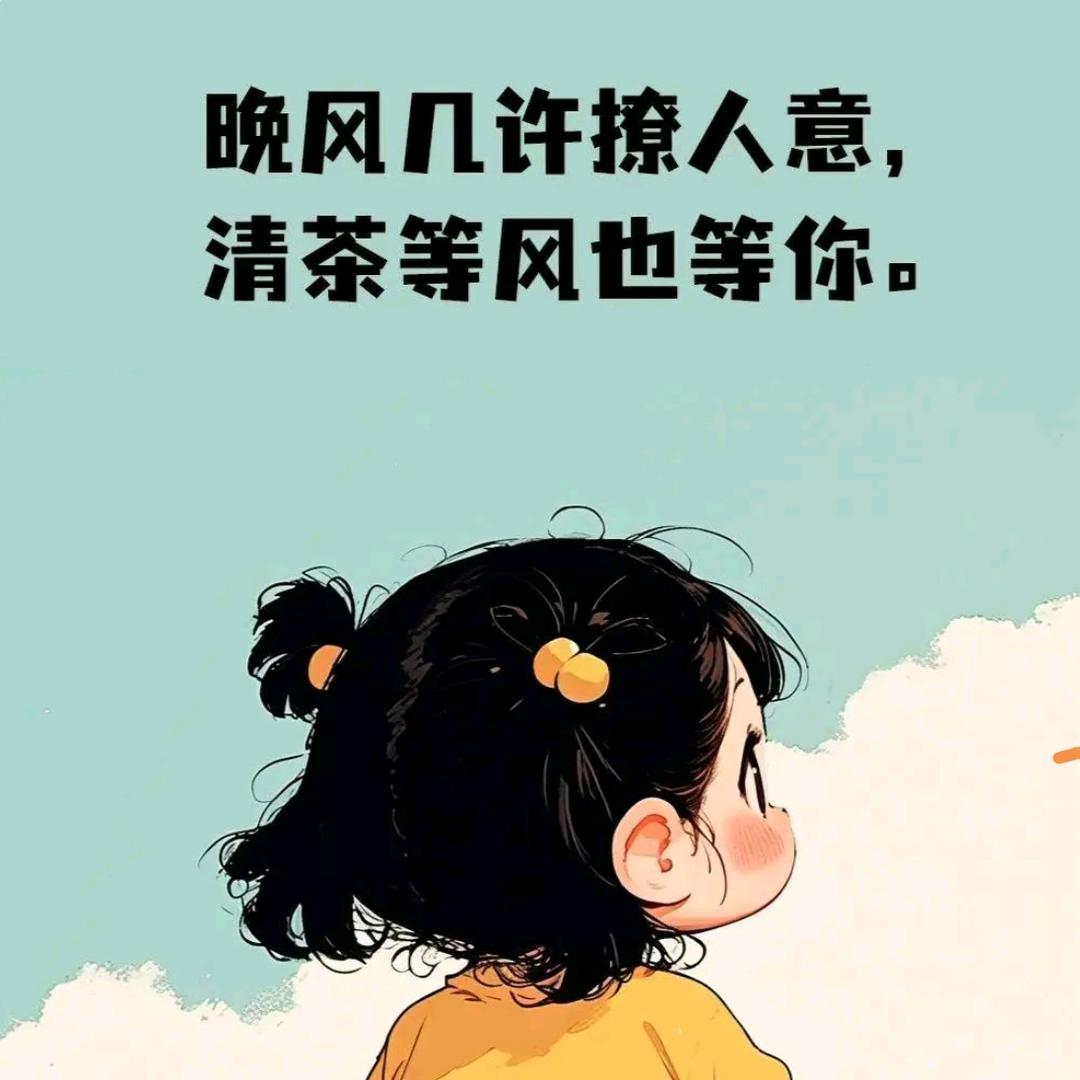 白茶.清欢