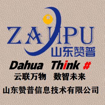 山东赞普科技