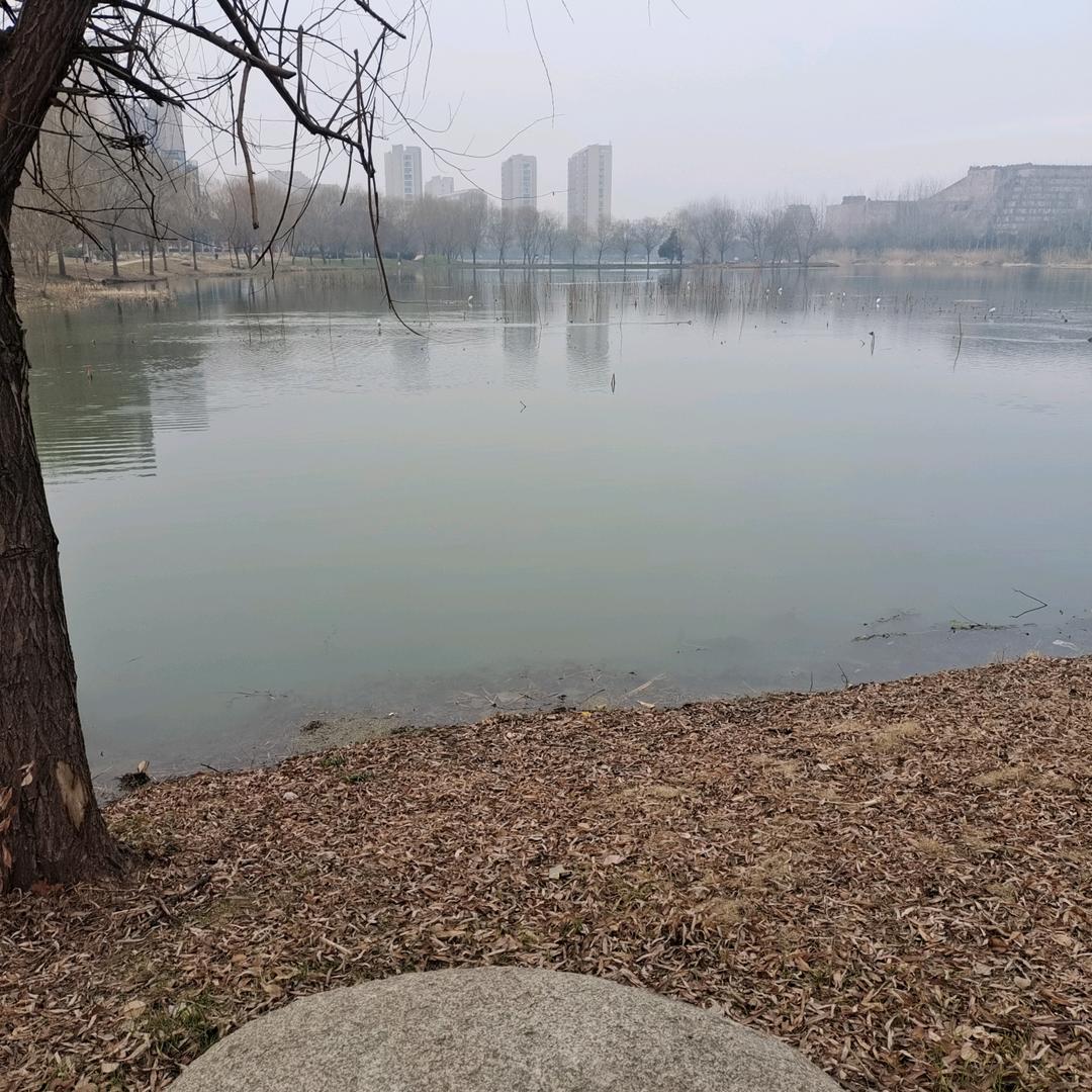 我亲爱的宝贝_241800742