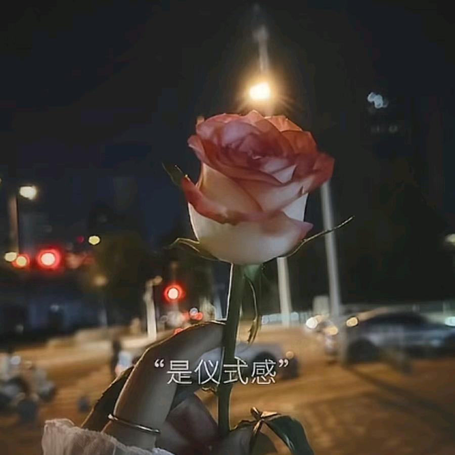 李宝宝